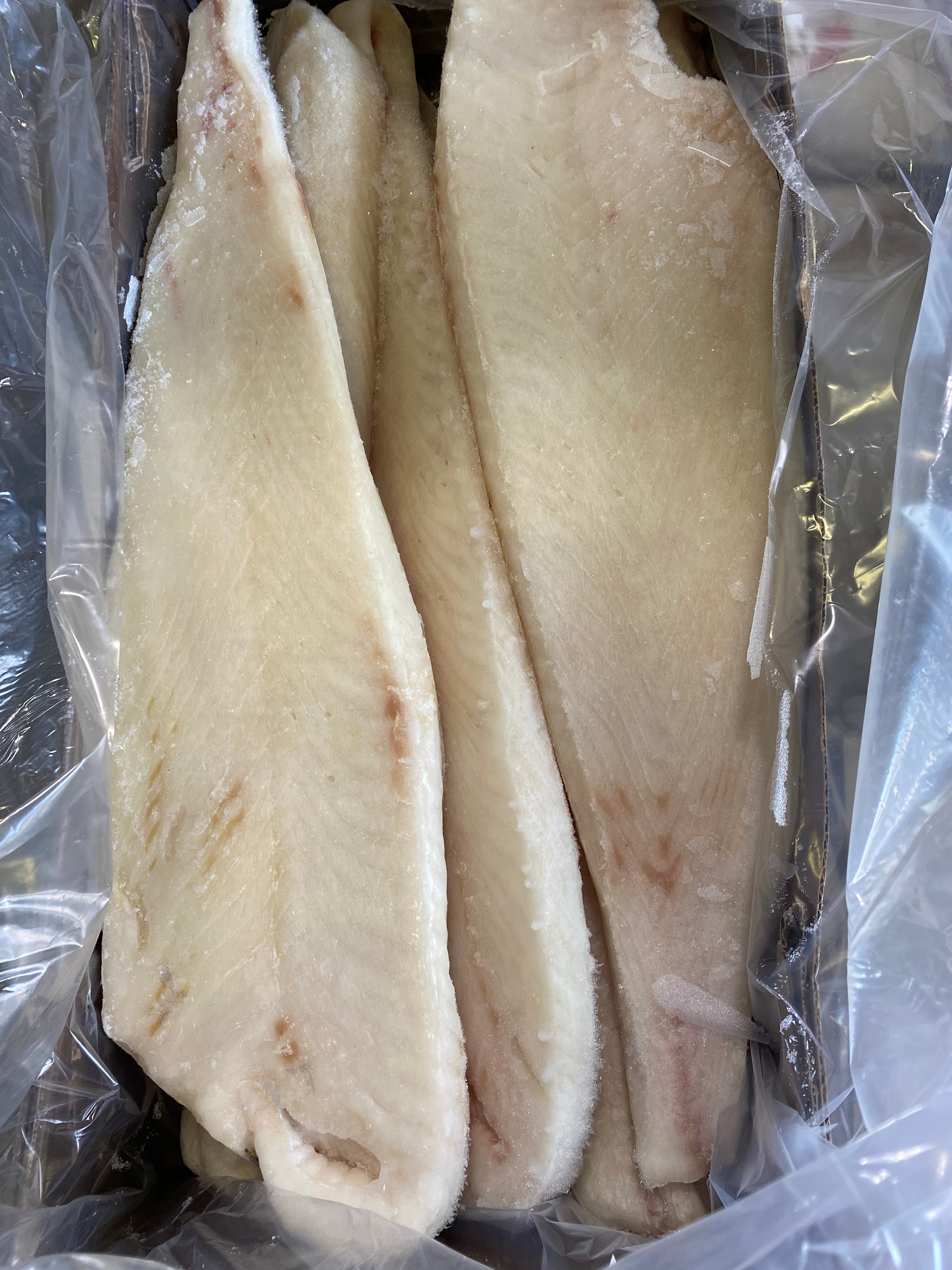 BFC5610 (X-Heavy 50-100lb) Halibut/Tuna