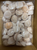 Sea Scallops, U12, Frozen, Hokkaido, Japan, CO, IQF,NW, 20 lb, 4x5lb