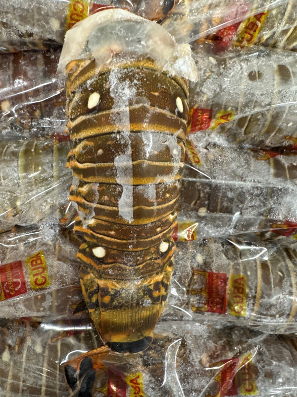 Lobster, 5-6 oz, Tails, Frozen, NW, 20 kg, 4 x 5 kg