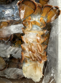 Lobster (Raw), 5-6 oz, Tails, Frozen, Canada, NW, 10 lb