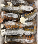 Lobster (Raw), 5-6 oz, Tails, Frozen, Canada, NW, 10 lb