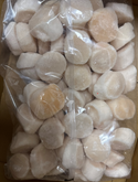 Sea Scallops, U12, Frozen, Hokkaido, Japan, CO, IQF,NW, 20 lb, 4x5lb