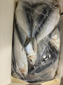 Thread Herring, Whole, Frozen, NW, 50 lb, 10 x 5 lb