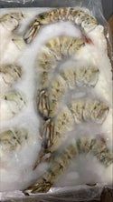 Shrimp, (Black Tiger), 4-6, HLSO, Frozen, NW, 24 lb, 6 x 4 lb