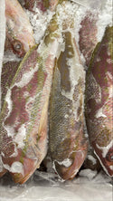 Snapper (Yellow Tail), 1/2-1 lb, Whole, Gutted, Frozen, IWP, Mexico,  NW, 55 lb