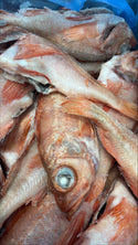 Red Fish 1/4-1/2lb, WGGS, Frozen, Kale Bay, Canada, NW, 10lb