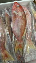 Snapper (Lane), 1-2 lb, WGGS, Frozen, Brazil, AN, NW, 10 lb