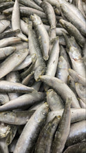 Sardines, 40-60 ppk, Whole Round, Frozen, NW, 10 kg