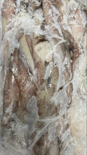 Squid, (Loligo Pealei), 8-10, Whole, Cleaned, Frozen, NW, 44 lb, 4 x 11 lb