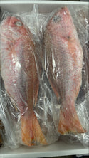 Snapper (Red), 1-2 lb, WGGS, Frozen, Brazil, AN, NW, 10 lb