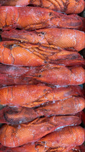 Homard, 14-16 oz, entier, cuit, congelé, NW, 10 lb