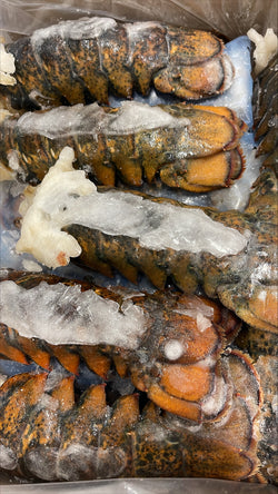 Lobster (Raw), 8-10 oz, Tails, Frozen, Canada, NW, 10 lb