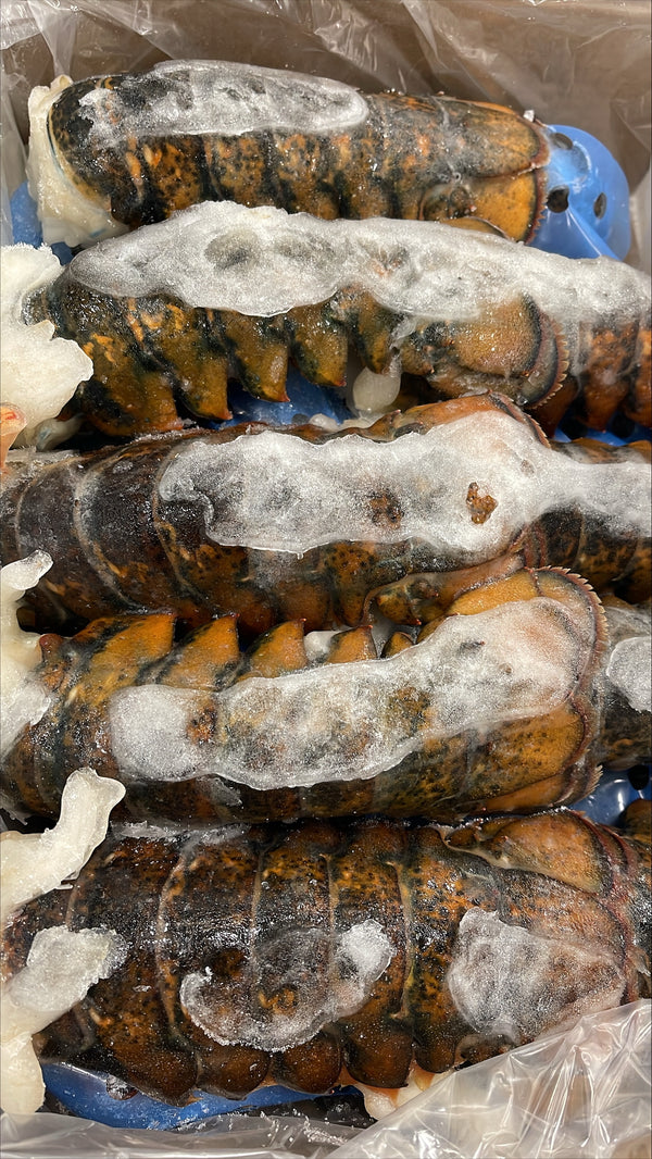 Lobster (Raw), 7-8 oz, Tails, Frozen, Canada, NW, 10 lb