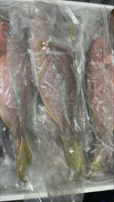 Snapper (Yellow Tail), 3/4-1 lb, WGGS, Frozen, Brazil, NW, 10 lb