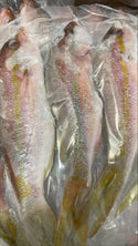 Snapper (Yellow Tail),1/4-1/2 lb, WGGS, Frozen, Brazil, AN, NW, 44lb