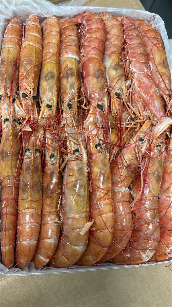 Shrimp (Red), L1 HOSO, Frozen, Block, Argentina, NW, 12kg, 6 x 2kg