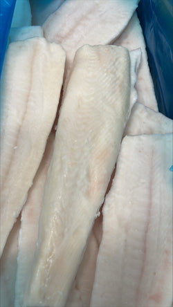 Halibut (Pacific), 8-16 oz, Fletches, Frozen, Treated, NW, 25 lb