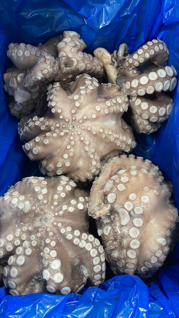 Octopus, (Vulgaris), T4 (1.5-2 kg), Whole, Frozen, NW, 12 kg (26.46 lb)