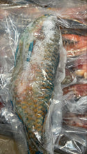 Parrot Fish, 1/2-3/4 lb, WGGS, Frozen, IQF, IWP, Vietnam, NW, 40 lb