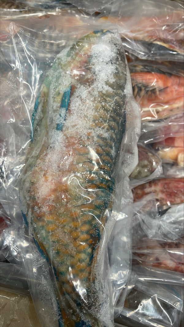 Parrot Fish, 1/2-3/4 lb, WGGS, Frozen, IQF, IWP, Vietnam, NW, 40 lb