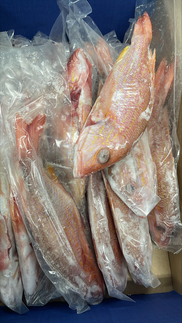 Snapper (Lane),1/2-3/4lb, GGS, Frozen, Mexico, DSA, NW, 10lb