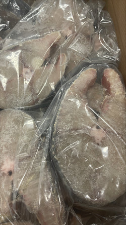 King Fish, 1-3 lb, Steaks, Frozen, IWP, Allmare, NW, 22 lb