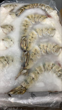 Shrimp, (Black Tiger), 4-6, HLSO, Frozen, NW, 24 lb, 6 x 4 lb