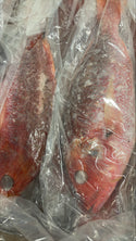 Snapper (Red), 2-3 lb, WGGS, Frozen, Brazil, AN, NW, 22 lb