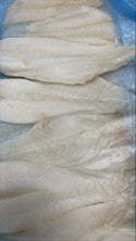 Roughy (Orange), 6-8 oz, Fillets, SBL, Fresh, NW, 10 kg (22.05 lb)