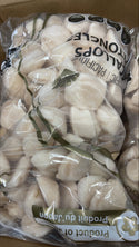 Sea Scallops, 20-30, Frozen, Hokkaido, Japan,  IQF,NW, 20 lb, 4x5lb