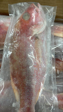 Snapper (Red), 3/4-1 lb, WGGS, Frozen, Brazil, AN, NW, 10 lb