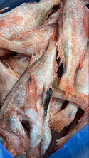 Red Fish 1/2-3/4lb, WGGS, Frozen, Canada, NW, 10lb