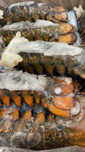 Lobster (Raw), 8-10 oz, Tails, Frozen, Canada, NW, 10 lb