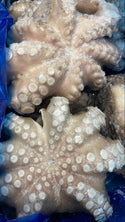 Octopus, (Vulgaris), T4 (1.5-2 kg), Whole, Frozen, NW, 12 kg (26.46 lb)