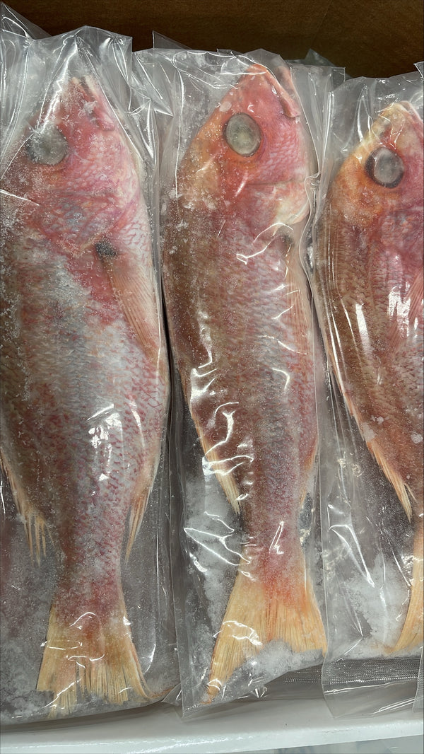 Snapper (Red), 3/4-1 lb, WGGS, Frozen, Brazil, AN, NW, 10 lb