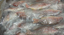 Snapper (Lane), 1/4-1/2 lb, Whole, Gutted, Frozen, IWP, Brazil, AN, NW, 44 lb