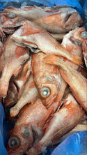 Red Fish 1/4-1/2lb, WGGS, Frozen, Kale Bay, Canada, NW, 10lb