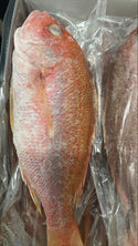 Snapper (Red), 1-2 lb, WGGS, Frozen, Brazil, AN, NW, 10 lb