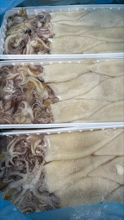 Squid, (Loligo Gahi), 9-12 cm, Tubes & Tentacles, Frozen, NW, 12 kg, 12 x 1 kg