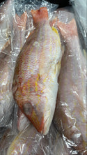 Snapper (Lane), 1/2-3/4 lb, WGGS, Frozen, Brazil, Prime, Censea, NW, 10 lb