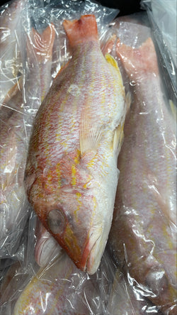 Snapper (Lane), 1/2-3/4 lb, WGGS, Frozen, Brazil,  NW, 10 lb