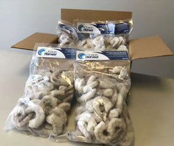 Crevettes, (blanches), 21-25, EZP, congelées, NW, 20 lb, 10 x 2 lb